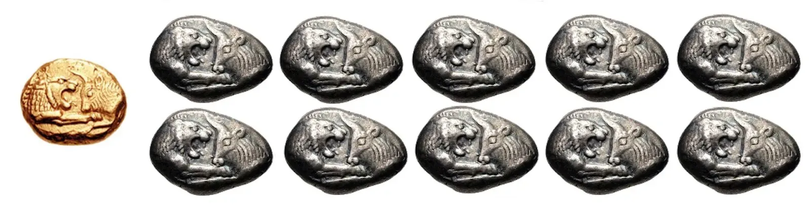 One gold coin shown beside a row of similar silver animal coins, comparing denominations or value