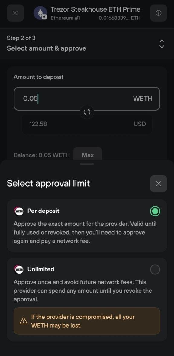 Approval limit options compare per-deposit approval with unlimited access and warn about risks if the provider is compromised.