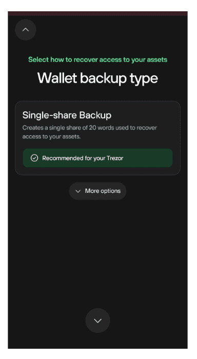 Mobile screen displaying Single-share Backup as the recommended wallet backup type with a More options button below.