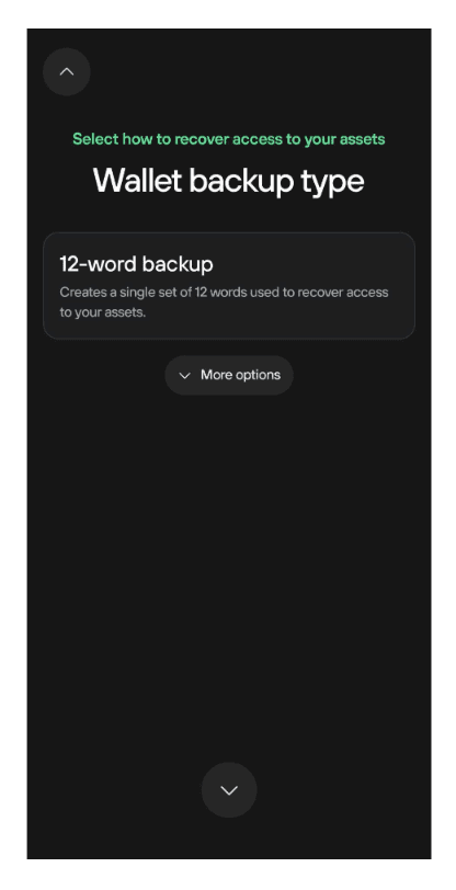 Wallet backup selection screen highlighting the 12-word backup option