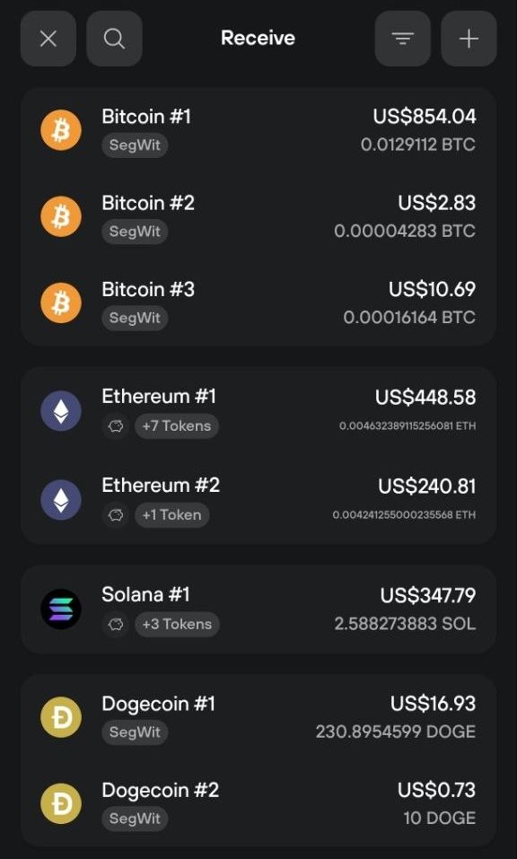 Trezor Suite mobile Receive screen listing Bitcoin, Ethereum, Solana, and Dogecoin accounts with balances